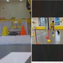 옐레드 애견유치원&애견호텔 대구신월성점 | 반려견의 사회성을 키우고 싶다면 신월성동애견유치원에 가세요!