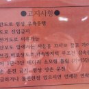 쓩쓩렌탈#도두점