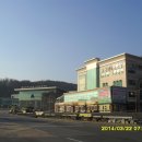 인삼웰빙사우나 티스토리