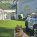 그하루 애견펜션 이미지