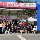 댕댕랜드 이미지