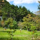 심원면자전거길1 이미지