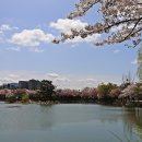 영산 만년교 이미지