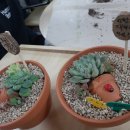 우리복지 이미지