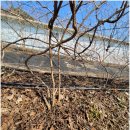 장생농장 이미지