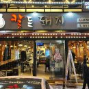 칼든돼지 - 37981 | 칼든돼지