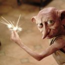 최현우 더브레인 | 속초 | 강연 마술사 최현우 편견을 깨는 마술같은 3가지 이야기 후기 / 야식맛집 주오일심야라멘 신라멘