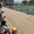 삼향초등학교 이미지