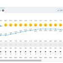 두타산날씨예상도(2024.5.18토)/기상청 발표 세부사항 이미지