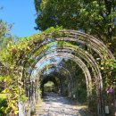 백야자연휴양림 이미지