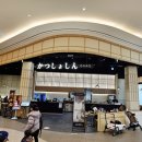 쇼신 | 운정 스타필드빌리지 돈카츠 맛집 카츠쇼신 방문 후기