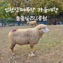 늘솔길근린공원 이미지