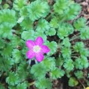 대구동중학교 | 대구동중학교 타로상담 후기입니다!