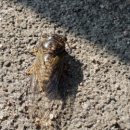 순천향정형외과의원 이미지