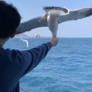 서빈다방 이미지