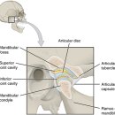 365탄탄한의원 이미지