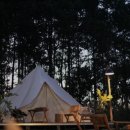 자연속힐링펜션 이미지