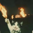 남문사우나 이미지