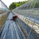 대박기원농장 이미지