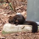 일상의 하루 이미지