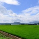 흥동 농장 이미지