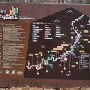 대호정비 | 포천 한탄강 Y자형 출렁다리 여행기｜유네스코 지질공원