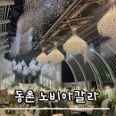 라노비아호텔 | W.2 대구 동촌노비아갈라 리뉴얼된 시그니아홀 포레아홀 계약후기(26년 상반기 견적공유)