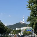 테디투어 이미지