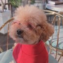 아이젠트리 렌즈미 경상대점 이미지