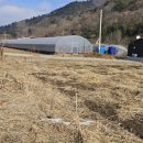 연암제3농장 이미지