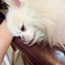 청양센터-001 | 2025년 11월-12월 일상