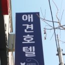 진서동물병원 이미지