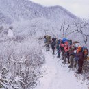 12월 28~29일 정기산행 - 멋진 눈 속에서 마무리한 장수 장안산~^^ 이미지