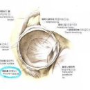 염기룡한의원 이미지