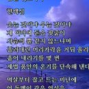 RE:한택심(골드스타님이) 신인문학상 공모에 당선이 되셨어요.. 이미지