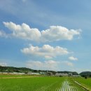 엘지탑마트 이미지