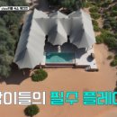 로얄 오락실 이미지