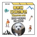다대진동헌 네이버블로그