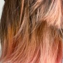 Artic Hair (아틱헤어) | 미용실에서 탈색 후 아틱폭스 염색약(컬러트리트먼트)으로 프로우즈 염색한 후기 (내돈냄)