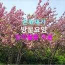 삼천포재가복지센터 이미지