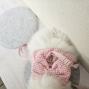 태안 안면도 분좋카 대형 애견동반 카페 트레블브레이크 커피