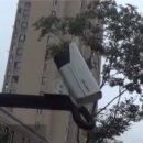 `Netizen Photo News` `2019. 6. 24`(월) 이미지