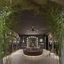 리플레이(REPLAY) 이미지