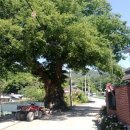 월용2리 이미지