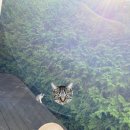 모예게스트하우스 | 강릉 여행가서 모예게스트하우스 숙박한 후기!