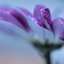 모다아울렛 정문 맞은편 이미지