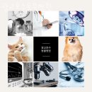 광교호수 동물병원 이미지