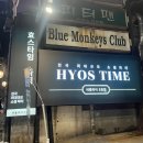 보계동물병원 | 효스타임 신촌 후기(1편) :: 사람의 취향은 한결같다 :: 내돈내산 솔로파티 추천