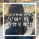 로이드안양점 | 호계동 미용실 가을맞이 염색후기 로이드밤 안양호계점