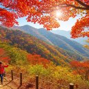 오봉산농원 | 2025 가을/인생샷 보장!/MZ 위한 서울 근교 단풍 BEST 5
